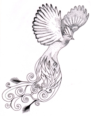 Paradiesvogel